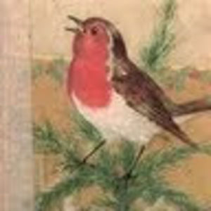 Meet your Posher, Robin